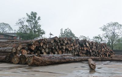 湖南省家具行業(yè)協(xié)會,家具行業(yè)協(xié)會,家具行業(yè) 湖南省家具行業(yè)協(xié)會,家具行業(yè)協(xié)會,家具行業(yè)
